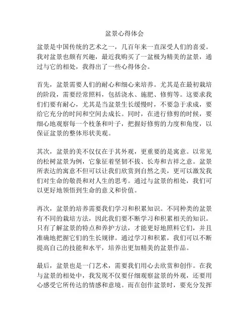 盆景心得体会
