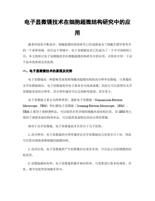 电子显微镜技术在细胞超微结构研究中的应用
