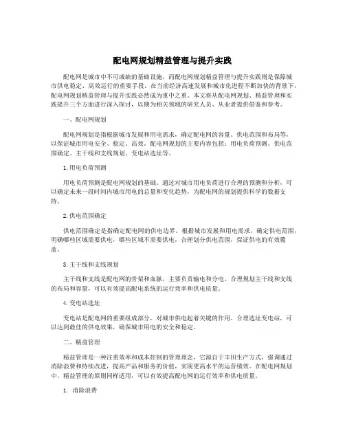 配电网规划精益管理与提升实践