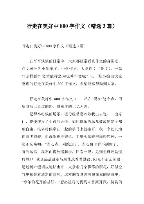行走在美好中800字作文(精选3篇)