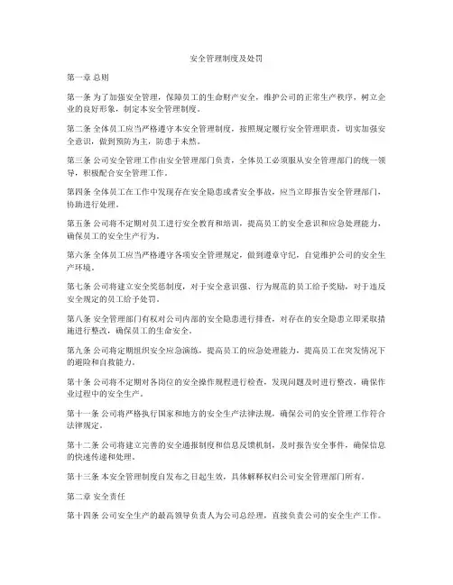 安全管理制度及处罚