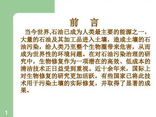 石油污染土壤专题