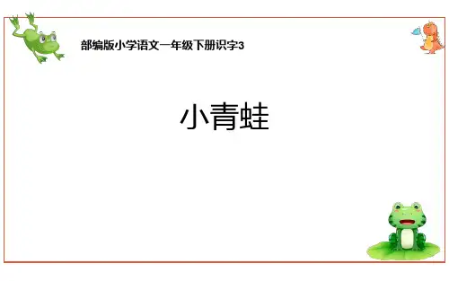 《小青蛙》语文教学PPT课件(9篇)