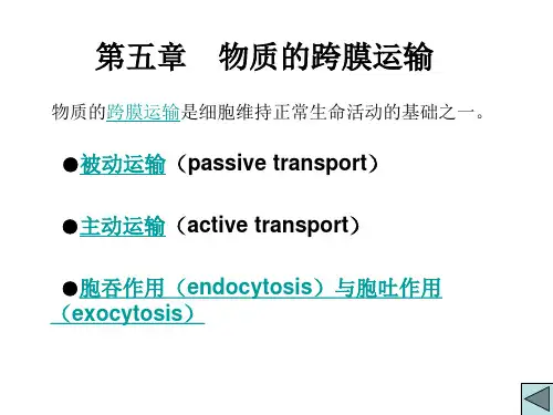 细胞生物学概论：第五章 物质的跨膜运输