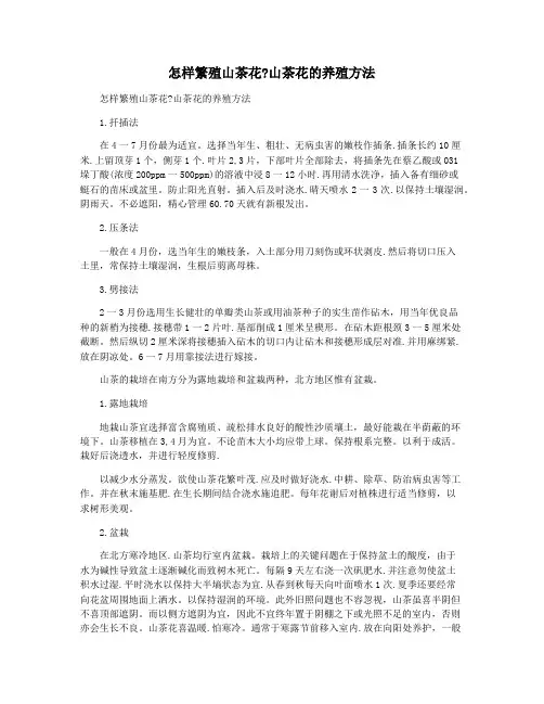怎样繁殖山茶花山茶花的养殖方法