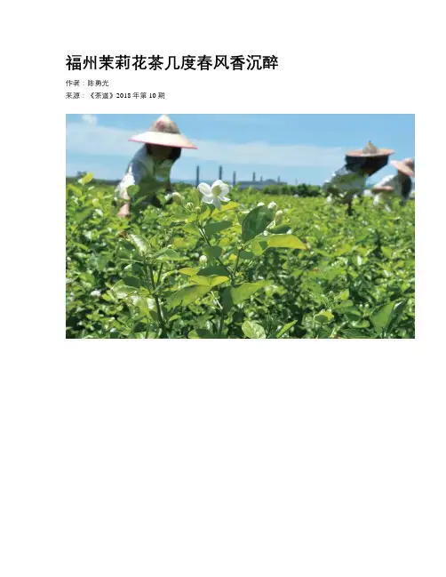 福州茉莉花茶几度春风香沉醉
