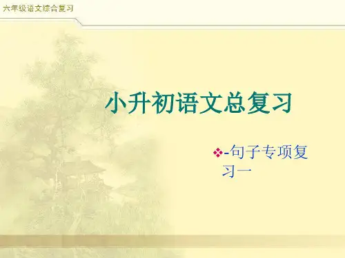 小升初语文综合复习之句式转换