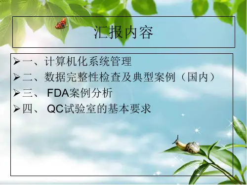 数据完整性与CSV验证PPT课件