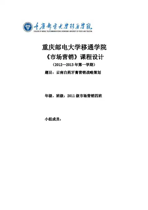 云南白药牙膏营销报告最终版