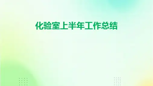 化验室上半年工作总结PPT