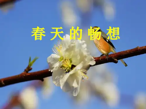 人教版七年级下册美术第2单元第2课―春天的畅想PPT课件