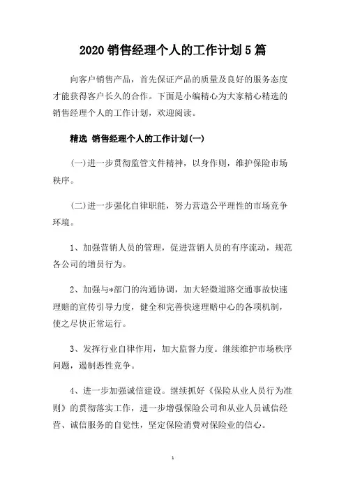 2020销售经理个人的工作计划5篇.doc