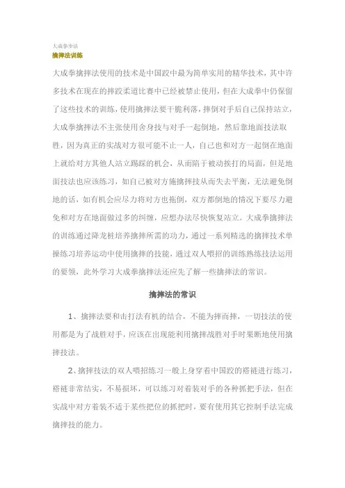 大成拳步法