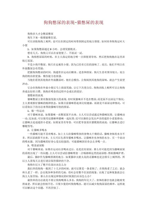 狗狗憋尿的表现-猫憋屎的表现