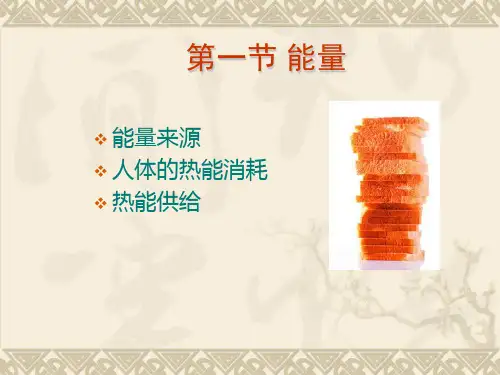 能量与宏量营养素