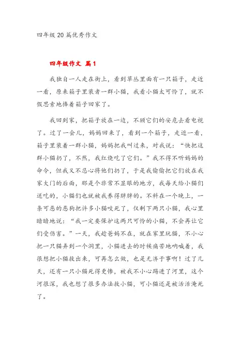 四年级20篇优秀作文
