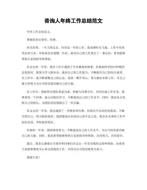 咨询人年终工作总结范文