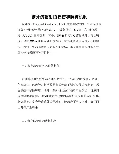 紫外线辐射的损伤和防御机制