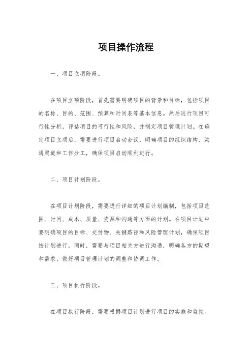 项目操作流程