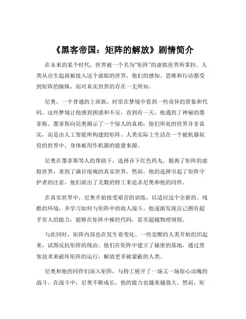《黑客帝国：矩阵的解放》剧情简介