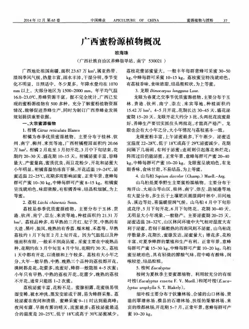 广西蜜粉源植物概况