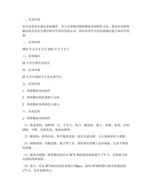 鸡骨骼标本的制作实训报告