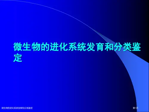 微生物的进化系统发育和分类鉴定
