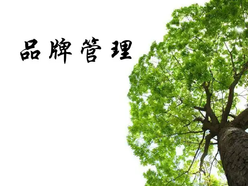 品牌管理第5章品牌个性和品牌文化ppt课件