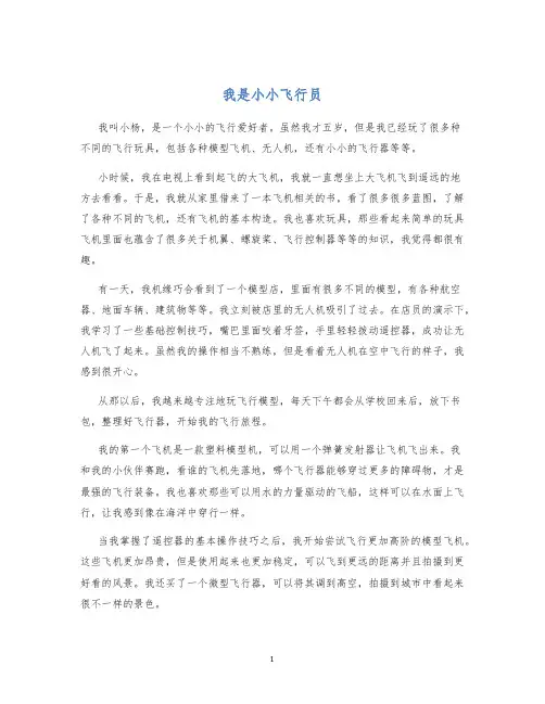 我是小小飞行员作文