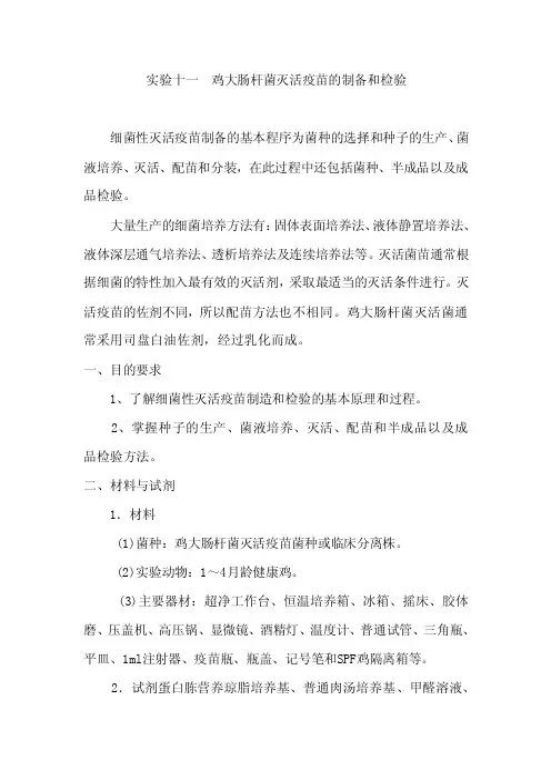 实验七_鸡大肠杆菌灭活疫苗的