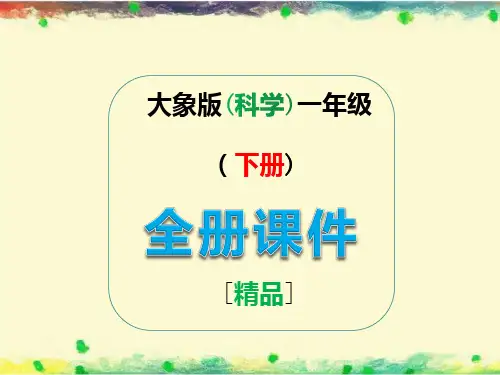 大象版一年级科学下册全册课件【完整版】