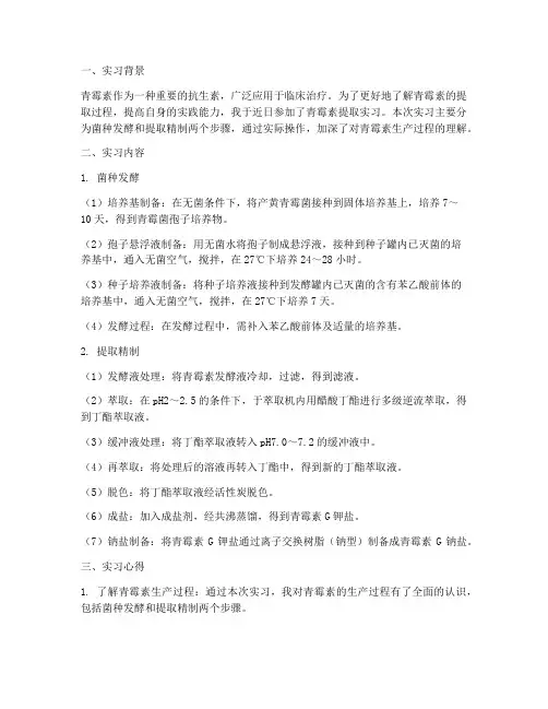 青霉素提取实习报告