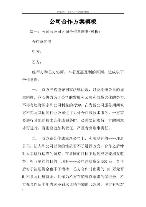公司合作方案模板