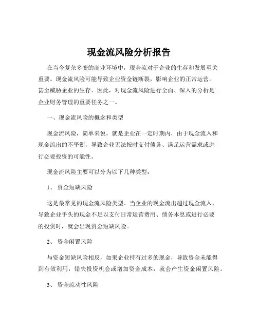 现金流风险分析报告