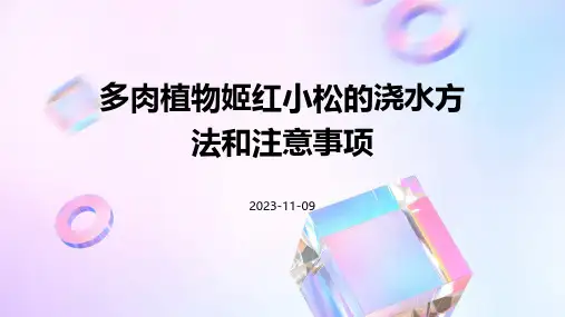 多肉植物姬红小松的浇水方法和注意事项