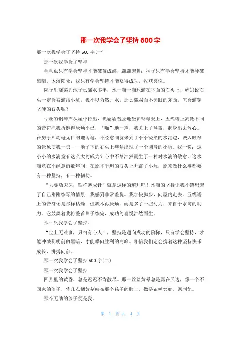 那一次我学会了坚持600字