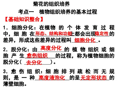 课题一   菊花的组织培养