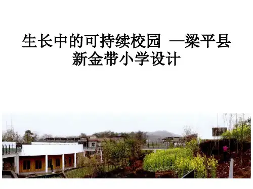 新金带小学建筑设计案例分析