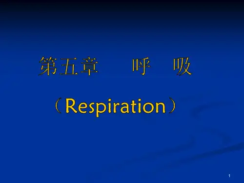 呼吸生理PPT课件