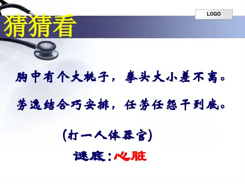 初二生物心脏完整版ppt课件