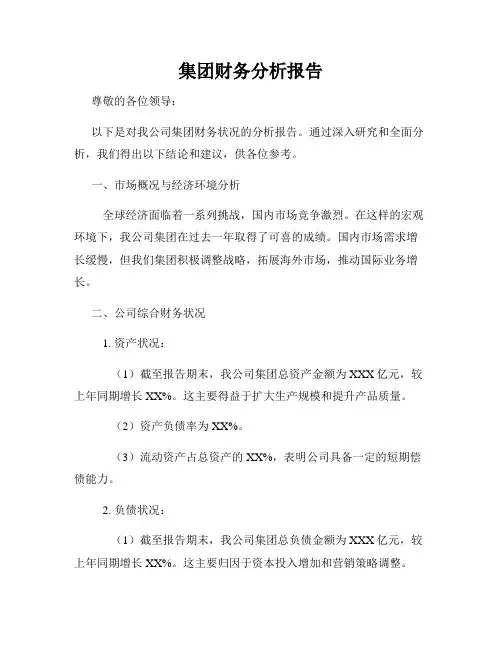 集团财务分析报告