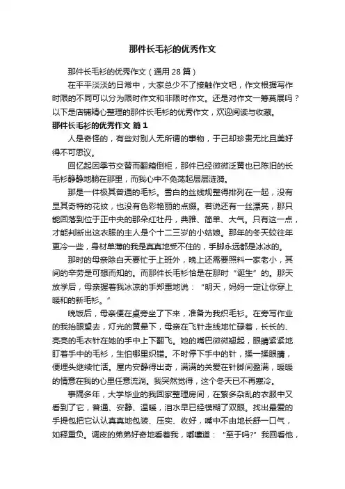那件长毛衫的优秀作文