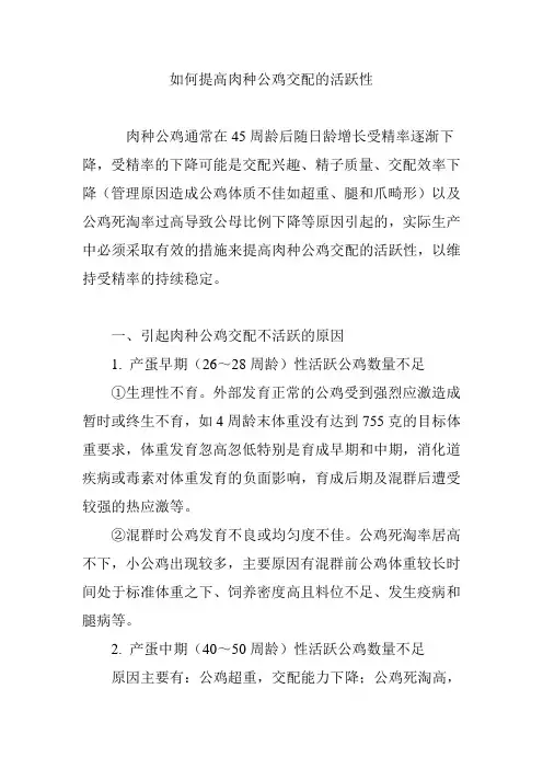 如何提高肉种公鸡交配的活跃性