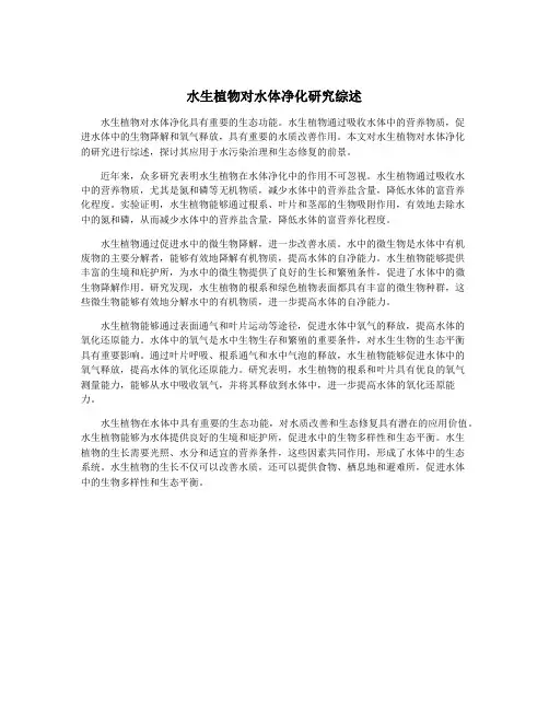 水生植物对水体净化研究综述