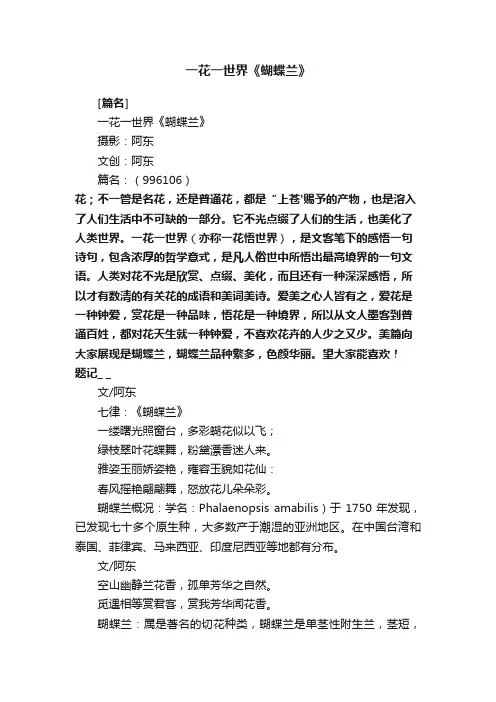 一花一世界《蝴蝶兰》