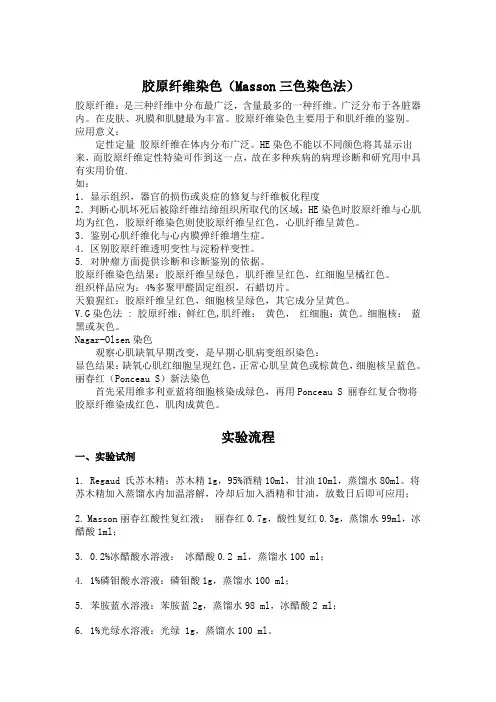 Masson染色技术