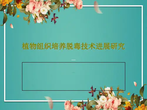 植物组织培养脱毒技术进展研究19页PPT
