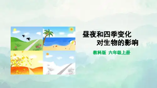 教科版六年级科学上册昼夜和四季变化对生物的影响课件