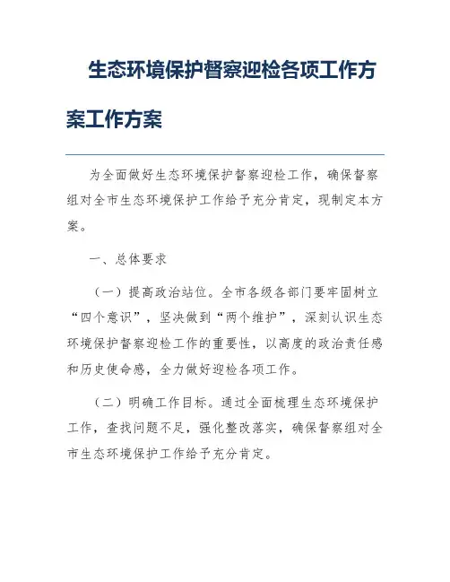 生态环境保护督察迎检各项工作方案工作方案