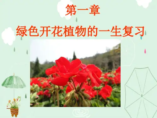 绿色开花植物的一生复习PPT课件 济南版